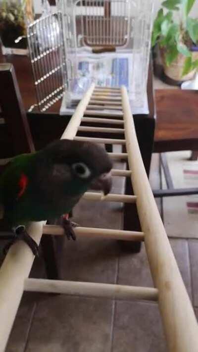 After years of neglecting his wife and kids while he climbed the corporate ladder, Roland found being at the top was... rather lonely.