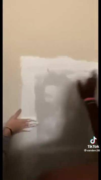 The boys do some unexpected drywall work!