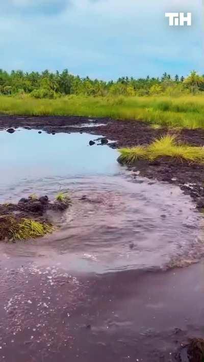 Taking off shoes to avoid getting them muddy