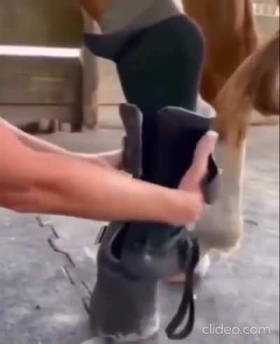 Stupid h*rse was running backwards and her leg was taken away