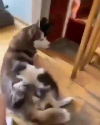 An attack on the enemy then back to the dimension