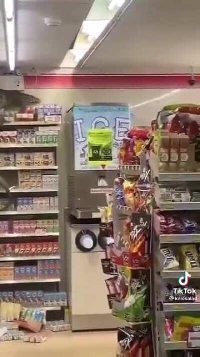 SaTaNiC NaZi LiZaRd fRoM hELL asSaulTs InNoCeNt sHeLF