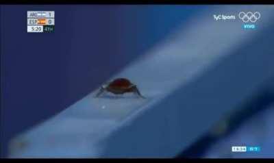 Not a big fan of blacks