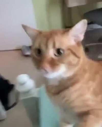 When you can’t take what you give