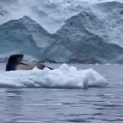 That was a close call