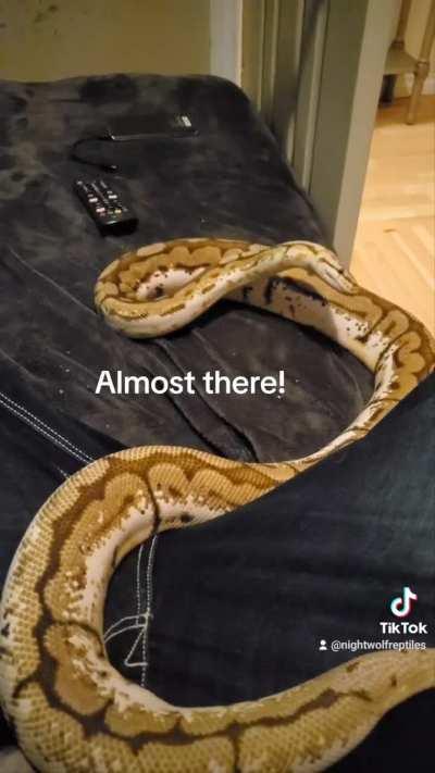 Lost the last brain cell