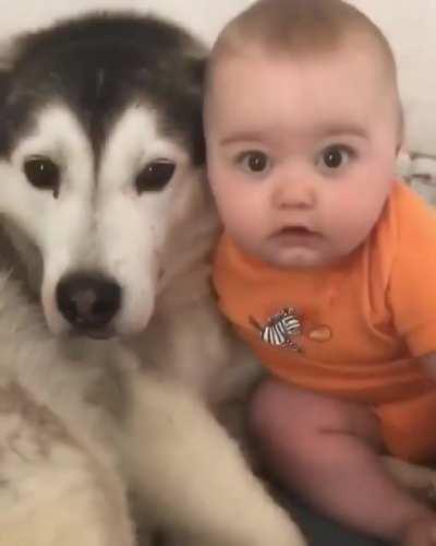 Growing up with a dog by your side