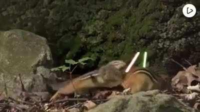 I will do what I must.