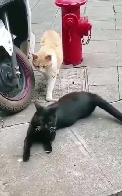 WCGW if I cheat on my significant other