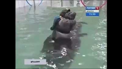 Russians are reportedly training a new generation of VDV paratroopers, better prepared for the conditions they've faced in the initial stages of the offensive (being airdropped directly into the Black Sea). Is Ukraine done for?