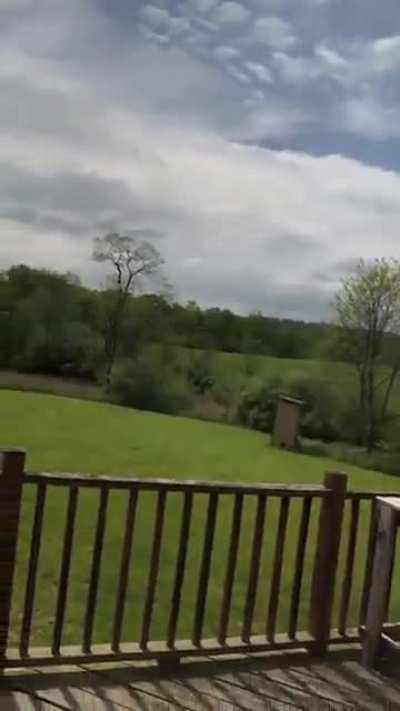 Carpenter bees swarm my log home every spring and chew holes all over my house. Not this guy asg czp90