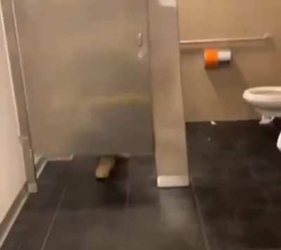 Privacy is no joking bladder