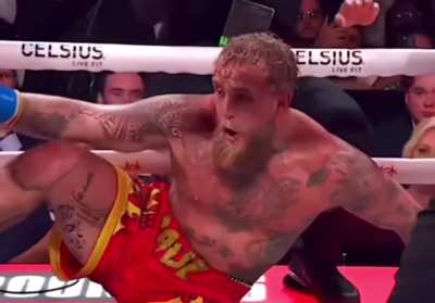 albino chimpanzee sharts jorts sped button mashing leg grab begging for mercy