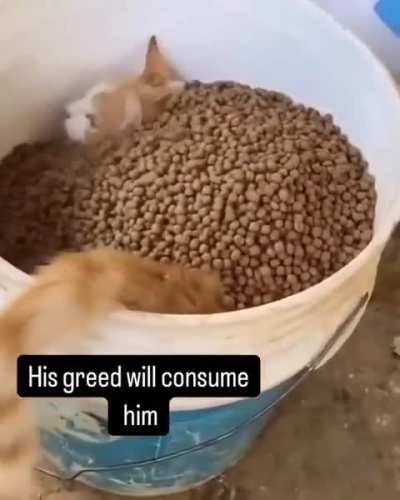 When your program allocates maximum resources