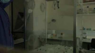 Bees falling to the ground when the lights are turned off