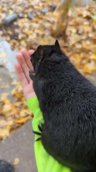 Little Baby. My wild child.