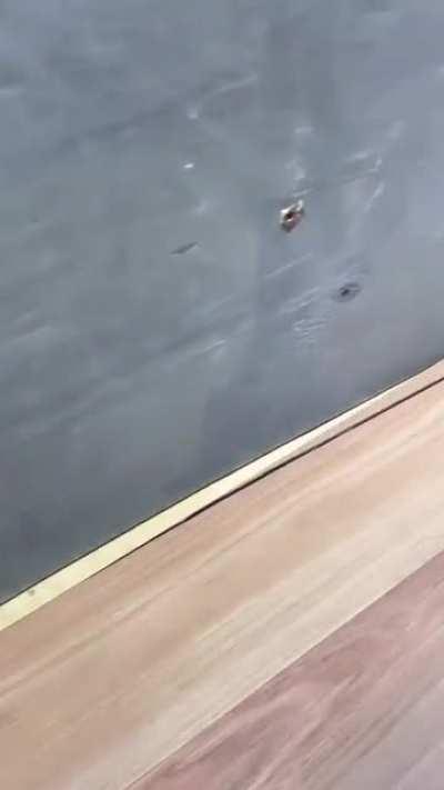 This might actually come in handy