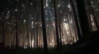 Surreal footage of Russians bombarding Kreminna forest with illuminating shells. Luhansk Oblast, 2023
