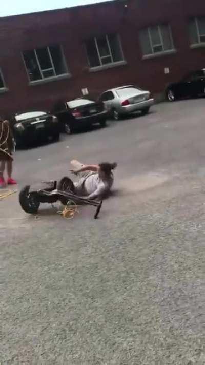 the two-wheeled bull fight