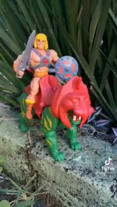 Ahora un sabio consejo de He-man