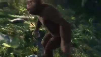 Fola: E leveleado unga ungas: