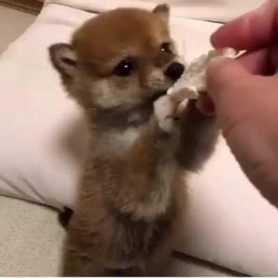 a little tragic but okey lol