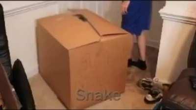 OC video I made now that Everyone Is Here!