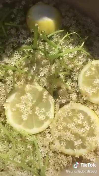 Calm cottagecore vibes