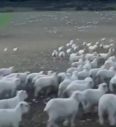 Did you take the picture? Do I look good