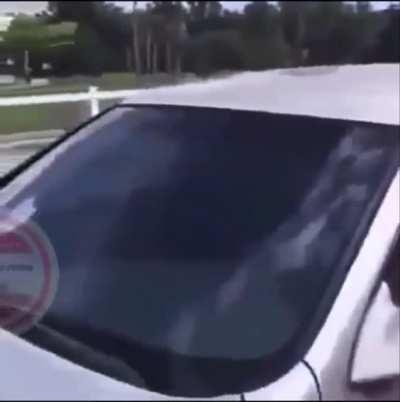 Crazy lady tries to tase women at park and gets instant karma