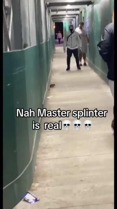 Forget all That praise spez shit. Instead here have this 