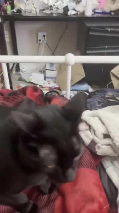 The Gruesome Twosome Ft. Ziggy & SJ /// Coming to a town near you soon. Get your tickets today!