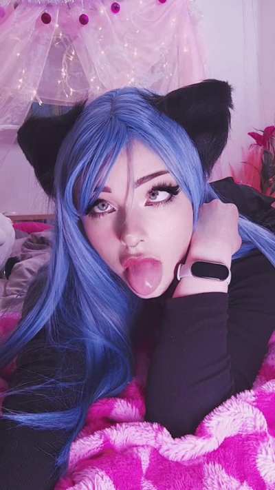 Kitten wants to play, would you join? 