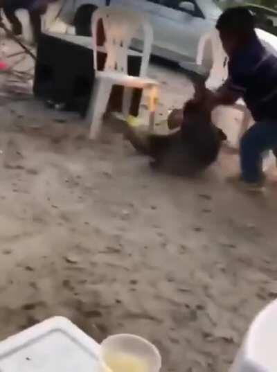 Maior luta de todos os tempos