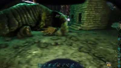 Proof that Roll Rats can fit through small doorframes