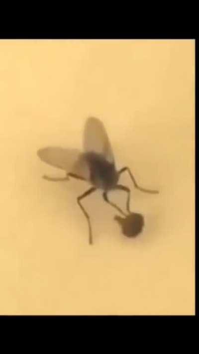 Bro has bluetooth head