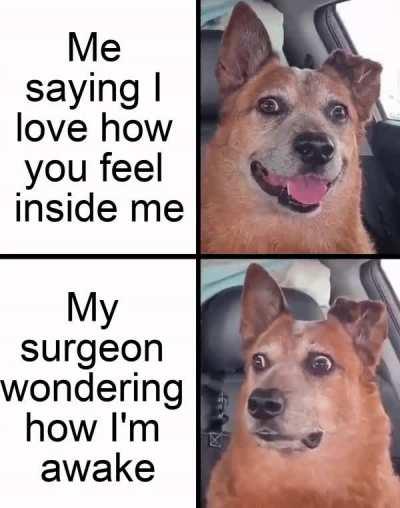 Don’t kink shame me