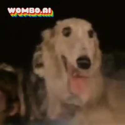 Take it away Seamus!