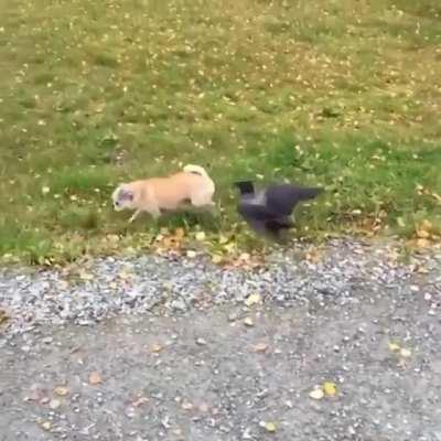 Ooopps🤣😂 was it on purpose????