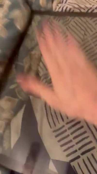 THIS is how you're meant to treat your glass panel