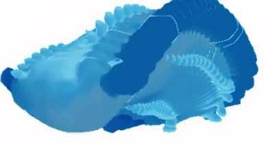 Dubidubiduba dubidubiduba