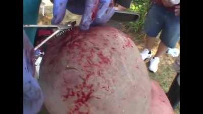 HMFT after those kenzans got in too deep