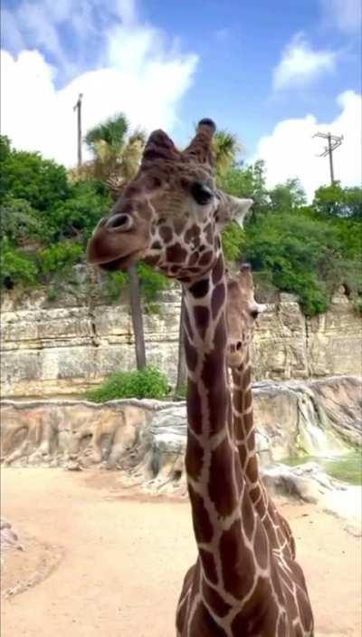 Are you sure we are the only ones here?