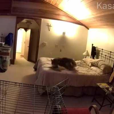 “I couldn't figure out how my bed kept getting unmade while I was making coffee until I put up a camera.”