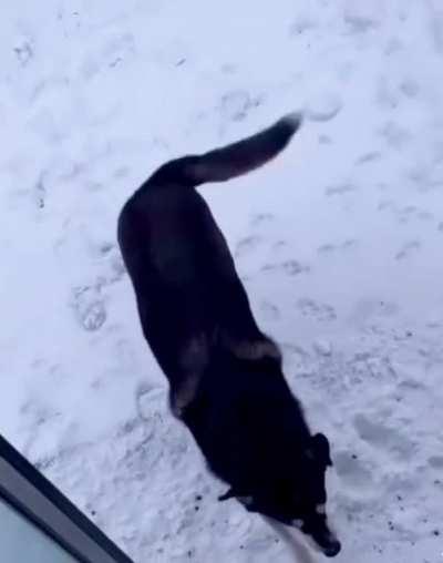 The perfect job might actually exist