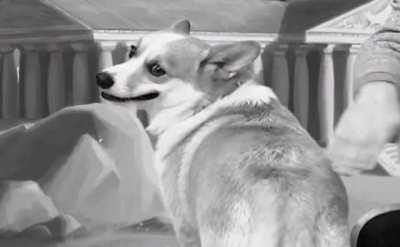 Owen has angered...him