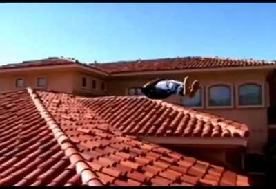 Literalmente yo cada vez que suena este temazo