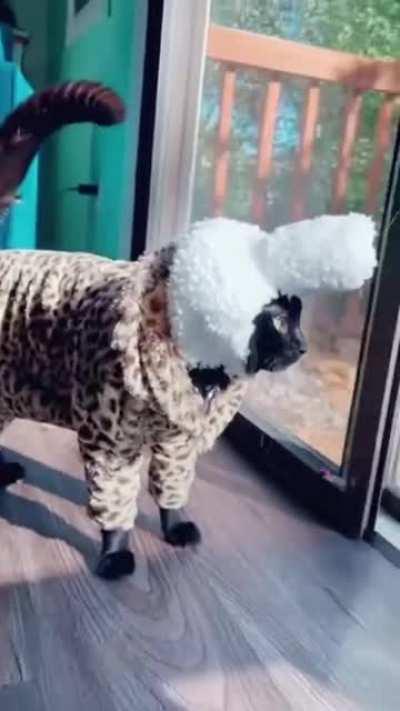 Еединственный и уникальный!