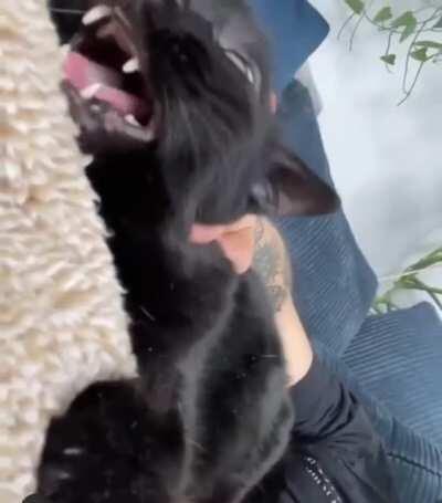 That creaky door be keeping me awake at 3 am.