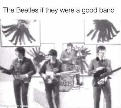 the insects